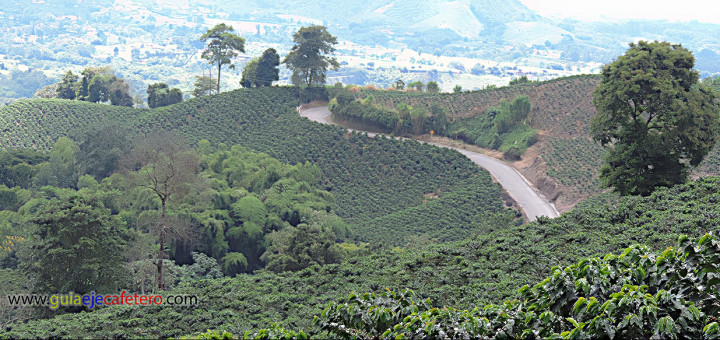 Imágenes del Eje Cafetero