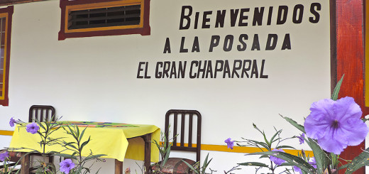 Posada El Gran Chaparral