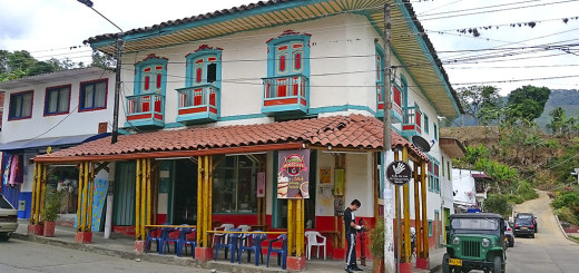 Molinari Café y Guadua