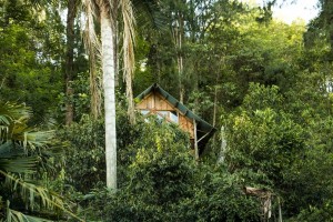 Hospedajes Exóticos 