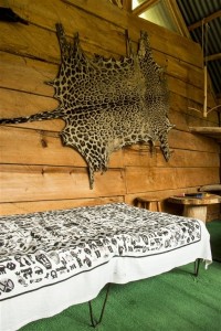 Hospedajes Exóticos 