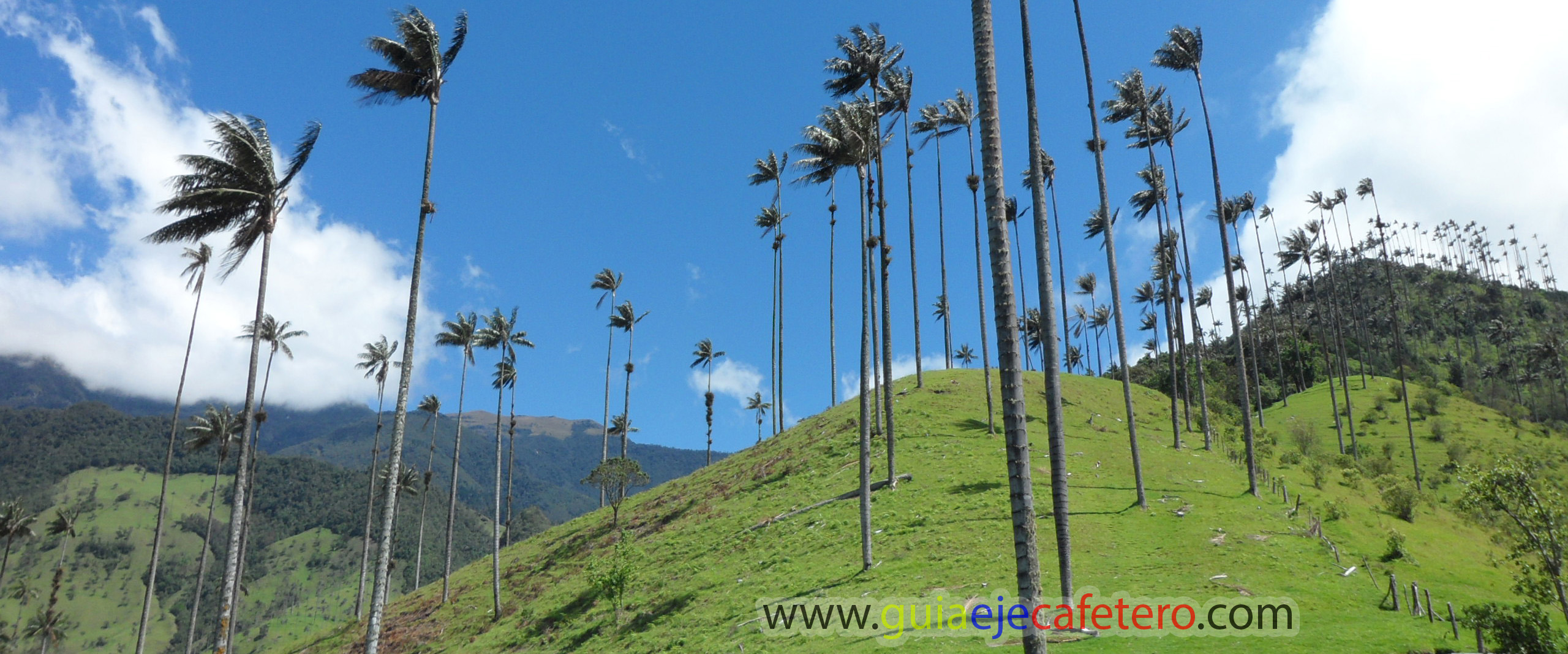 Valle del Cocora - Salento, Quindío