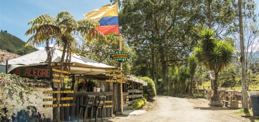 Restaurante Selva Alegre