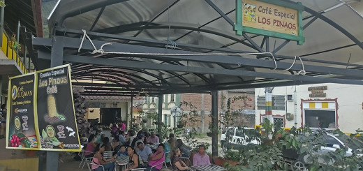 Café Los Pinaos