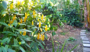 Hotel Mechas y Patro