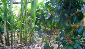 Hotel Mechas y Patro