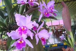 Finca Hotel El Barranco    