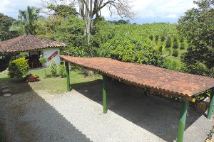 Finca El Palmar