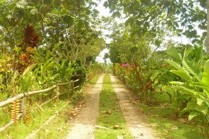 Mejorana Finca Hotel