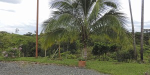 Finca EcoTurística Balcones de Bellavista    