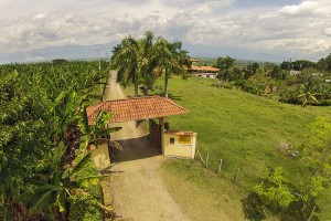 Tucurinca Finca Hotel