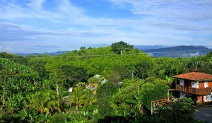 Finca Nuestro Sueño