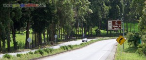 Autopista del Café