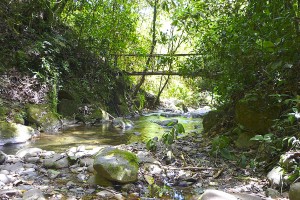 Restaurante Selva Alegre