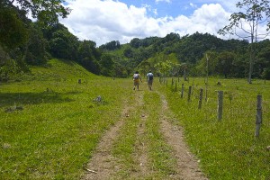 Restaurante Selva Alegre